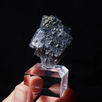 fluoriet jalingo nigeria