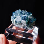 fluoriet jalingo nigeria