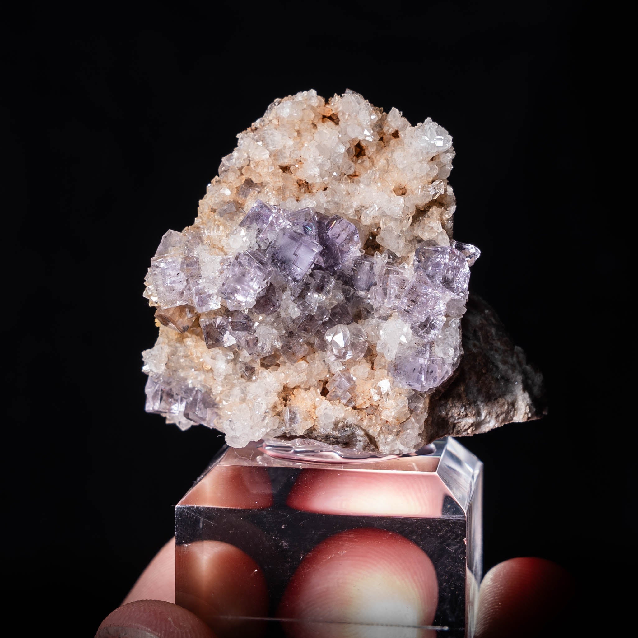 fluoriet berbes spanje