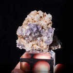 fluoriet berbes spanje