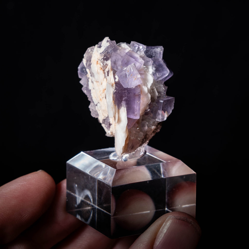 fluoriet berbes spanje