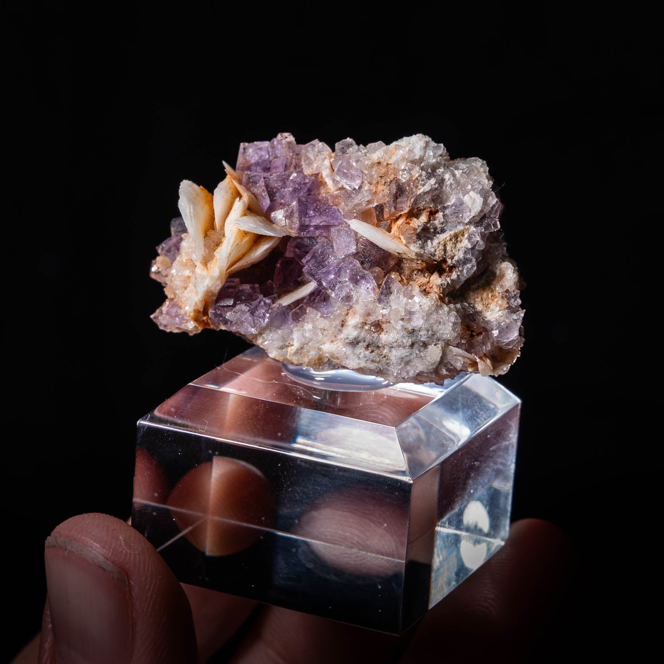 fluoriet berbes spanje