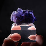 fluoriet berbes spanje