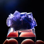 fluoriet berbes spanje