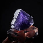 fluoriet berbes spanje