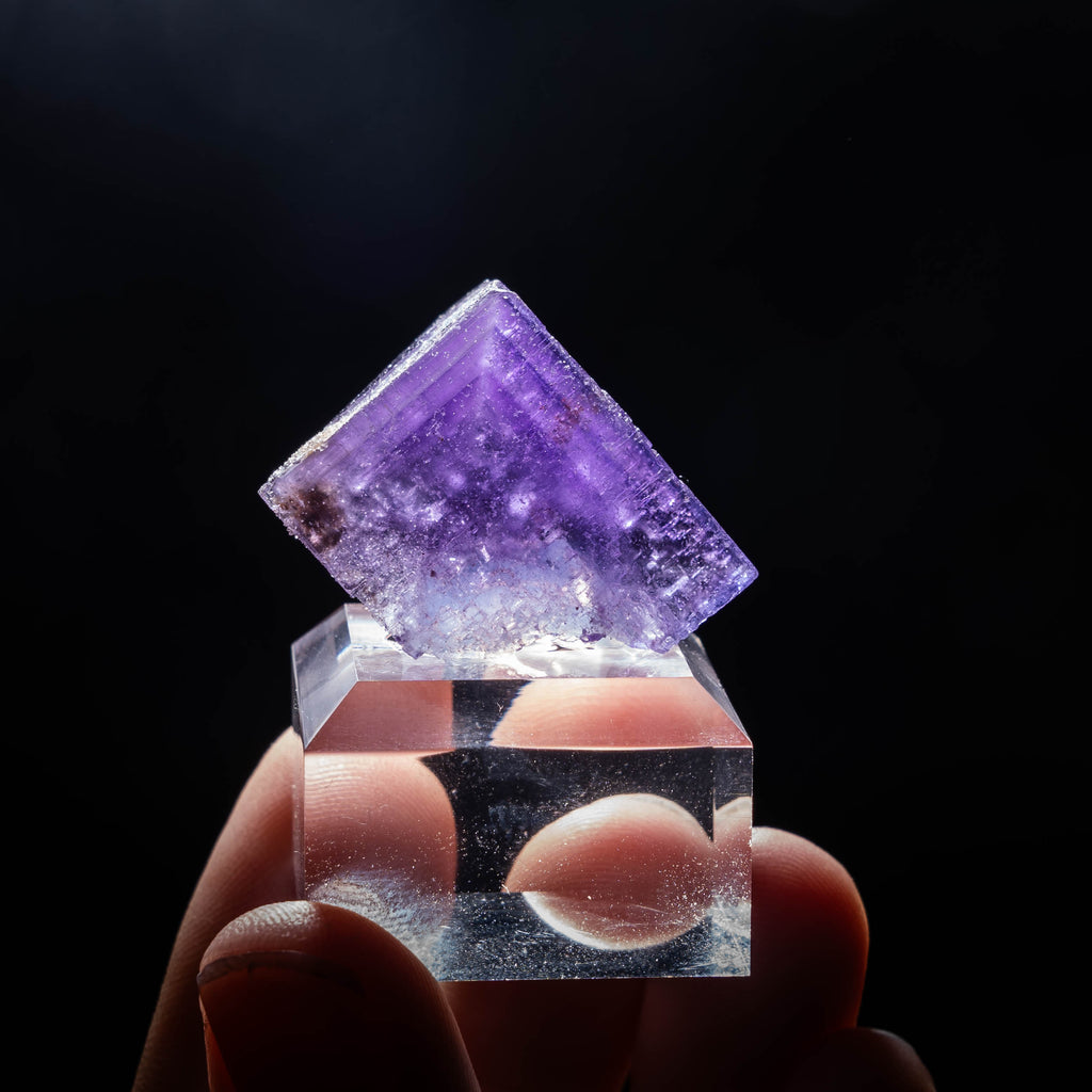 fluoriet berbes spanje