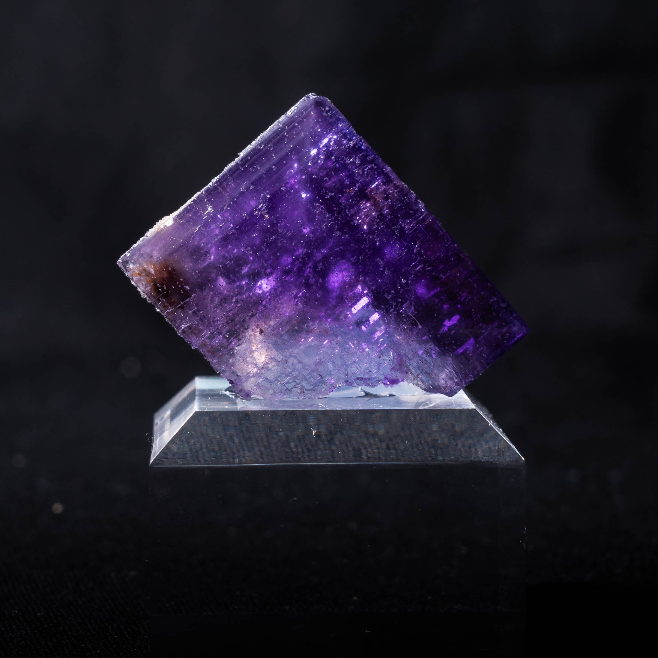 fluoriet berbes spanje