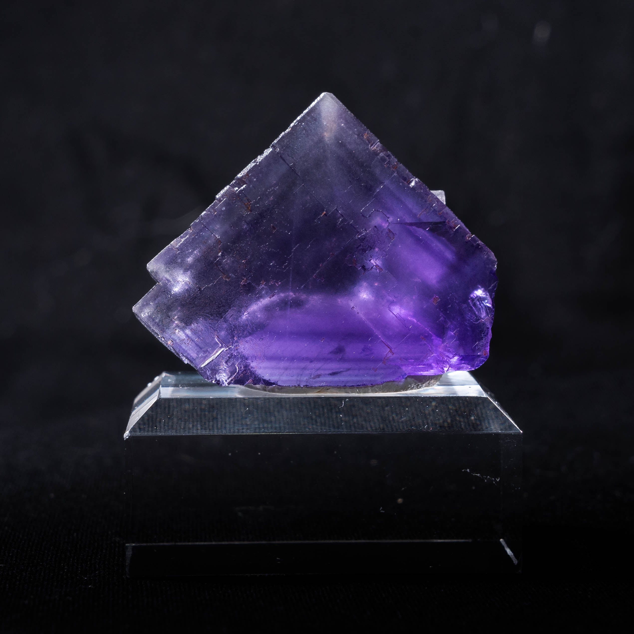 fluoriet berbes spanje