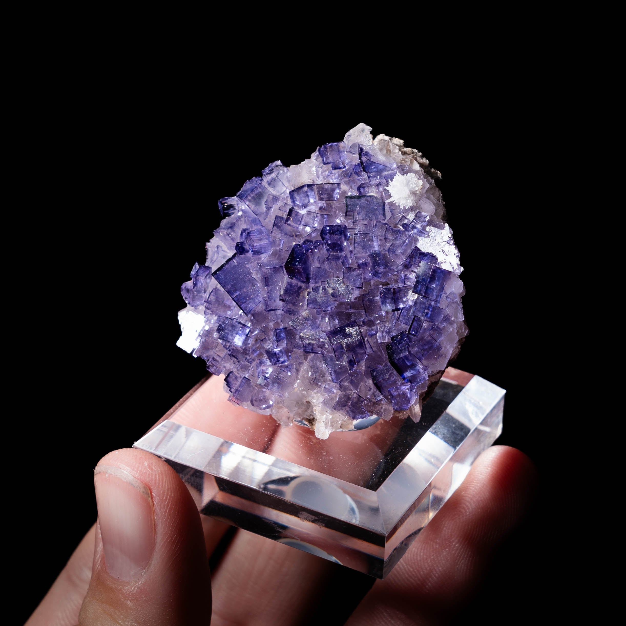 fluoriet Muzquiz mexico