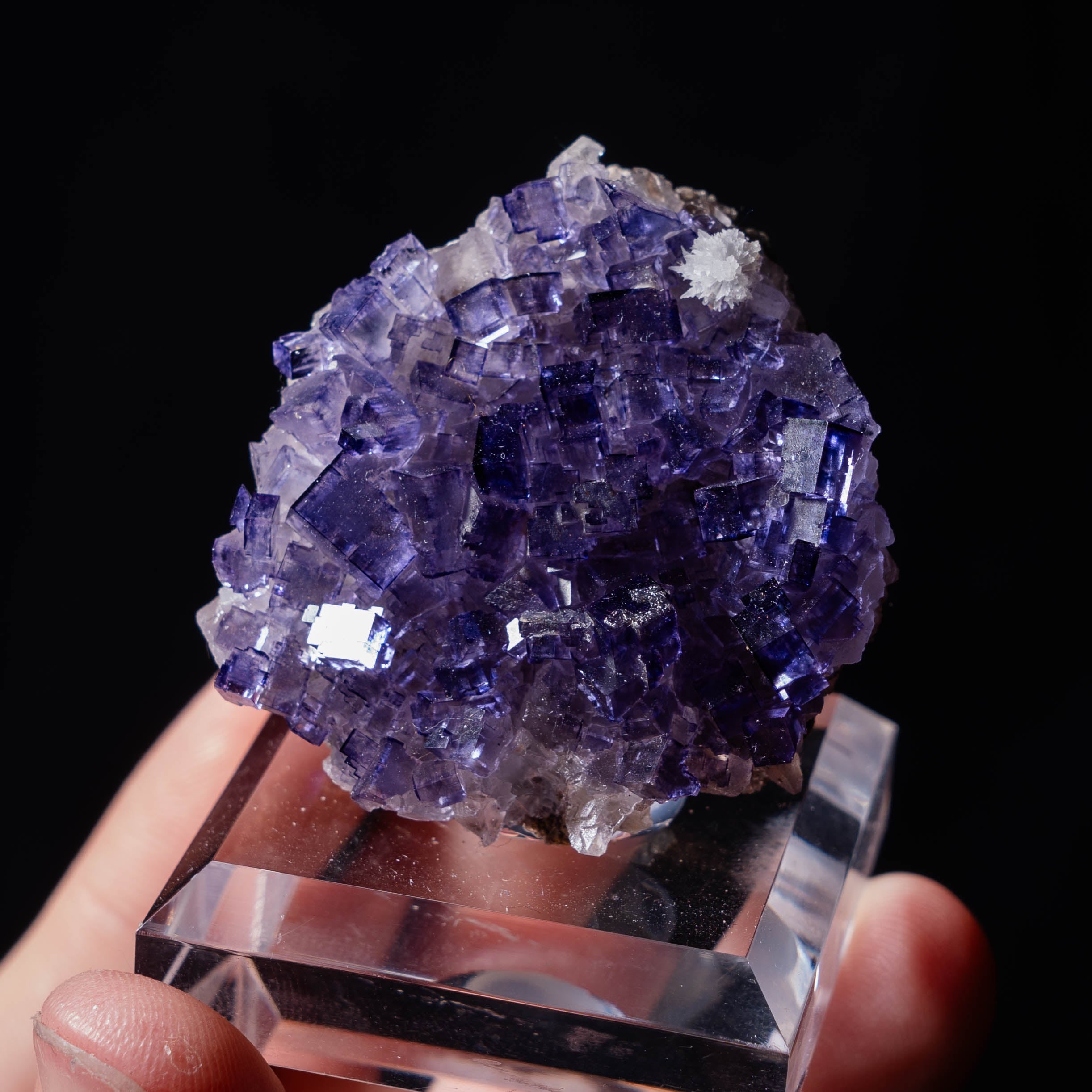 fluoriet Muzquiz mexico