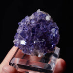 fluoriet Muzquiz mexico