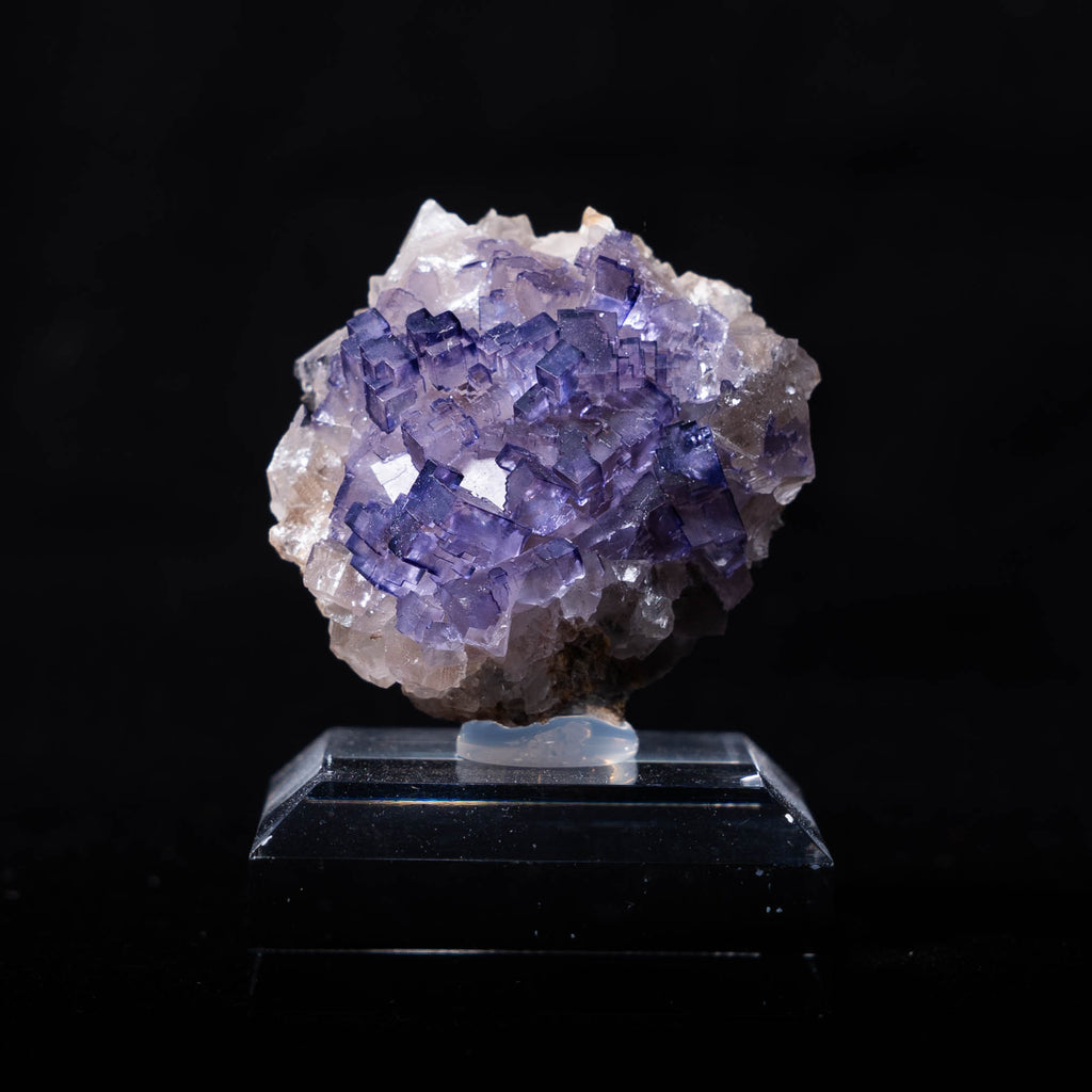 fluoriet muzquiz mexico