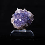 fluoriet muzquiz mexico