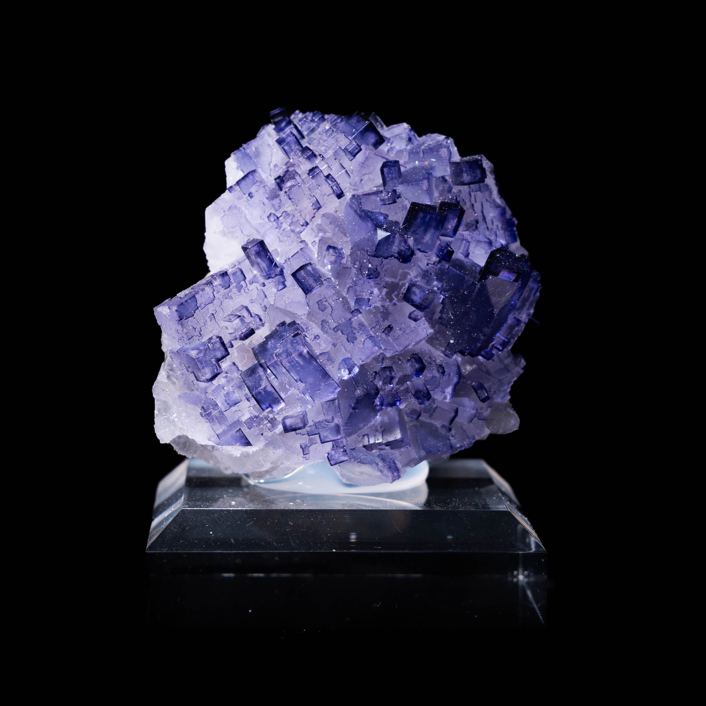 fluoriet muzquiz mexico