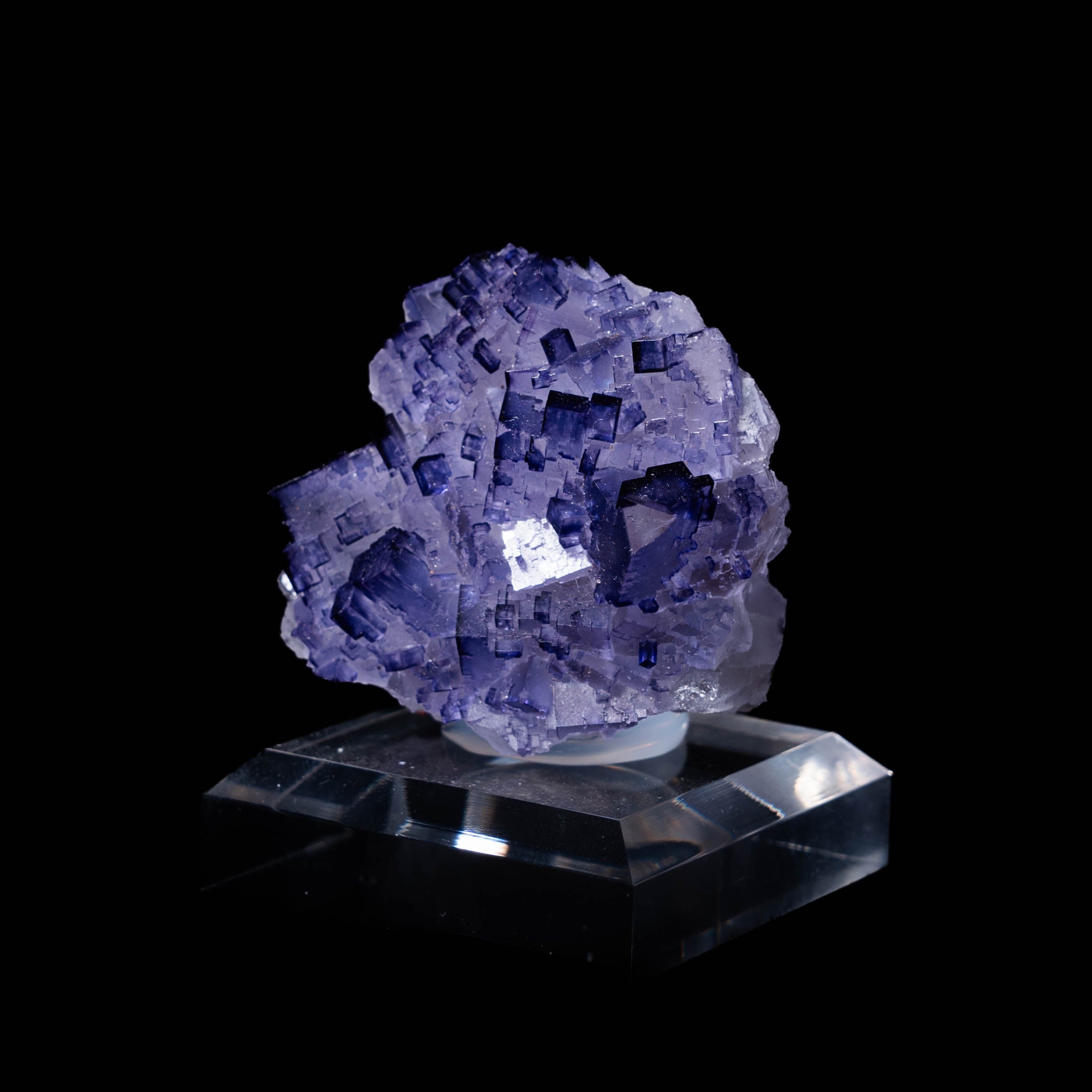 fluoriet muzquiz mexico