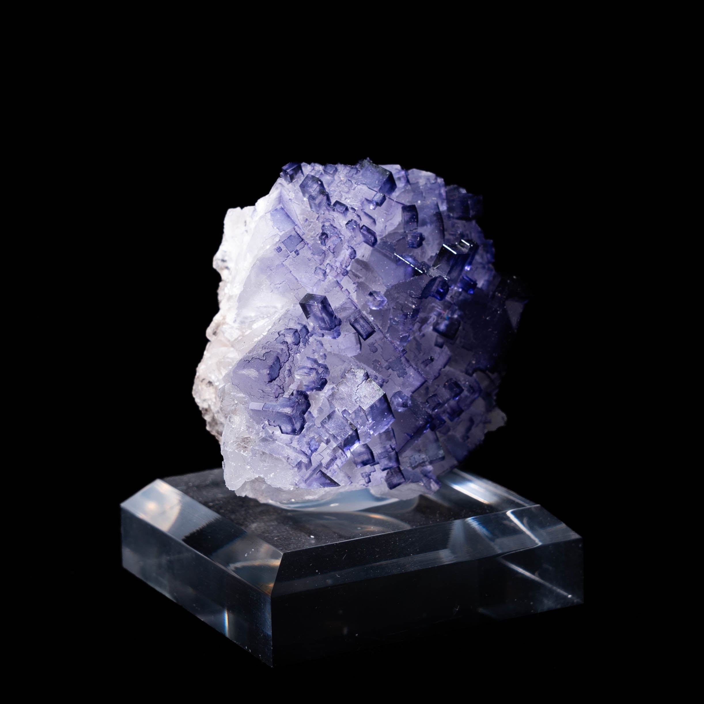 fluoriet muzquiz mexico