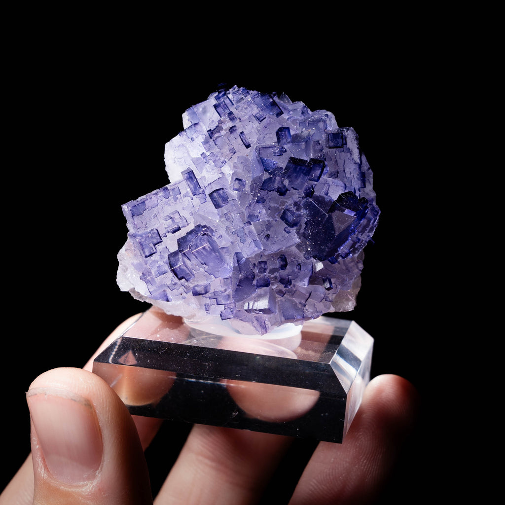 fluoriet muzquiz mexico