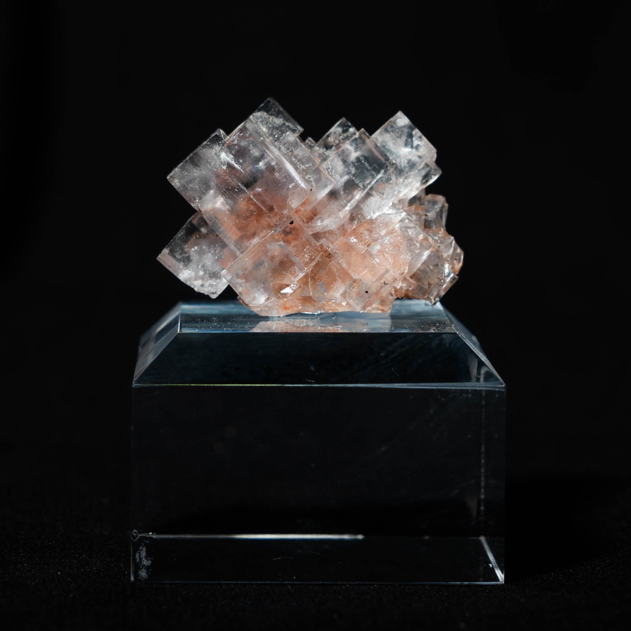 fluoriet clara duitsland