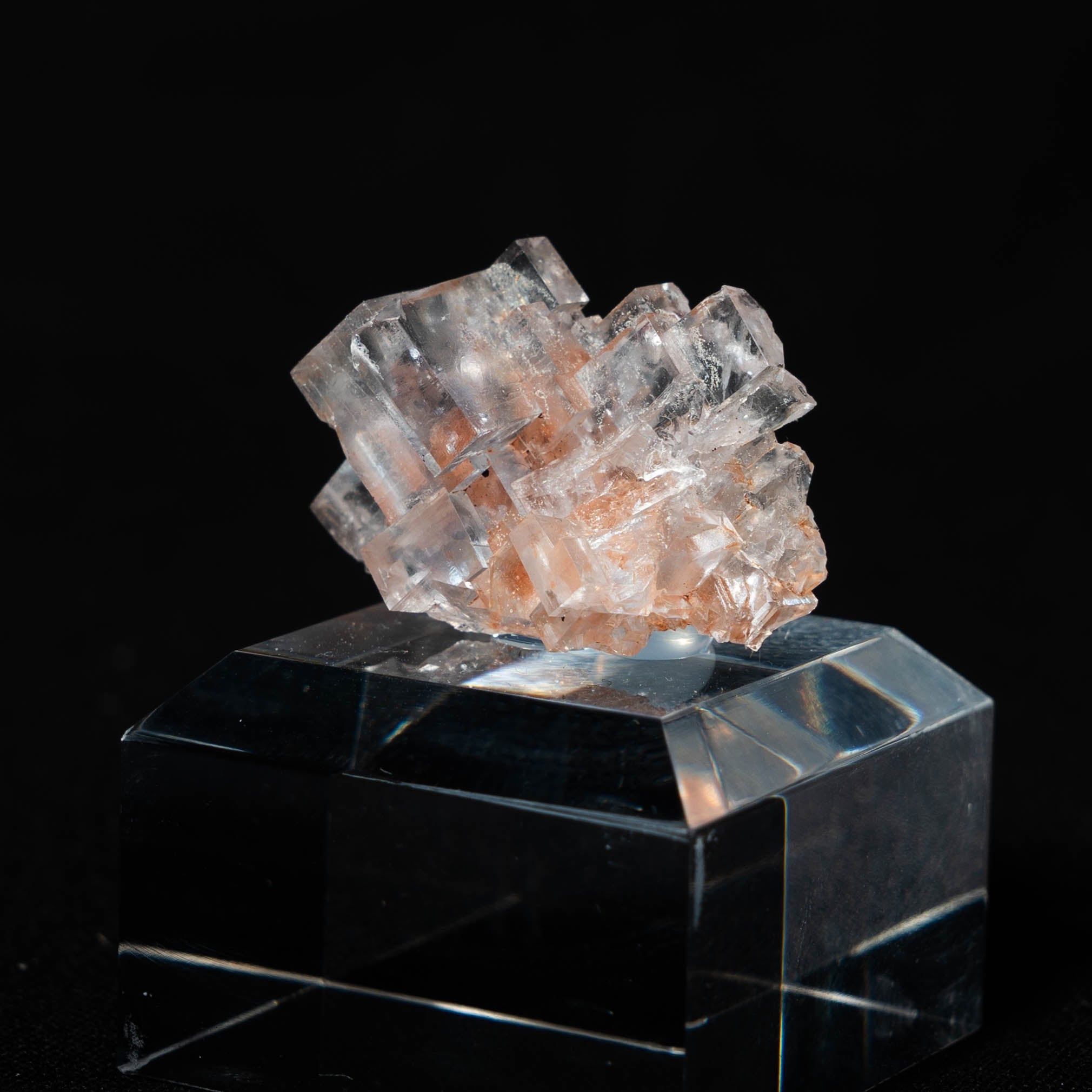 fluoriet clara duitsland