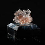 fluoriet clara duitsland