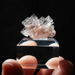 fluoriet clara duitsland