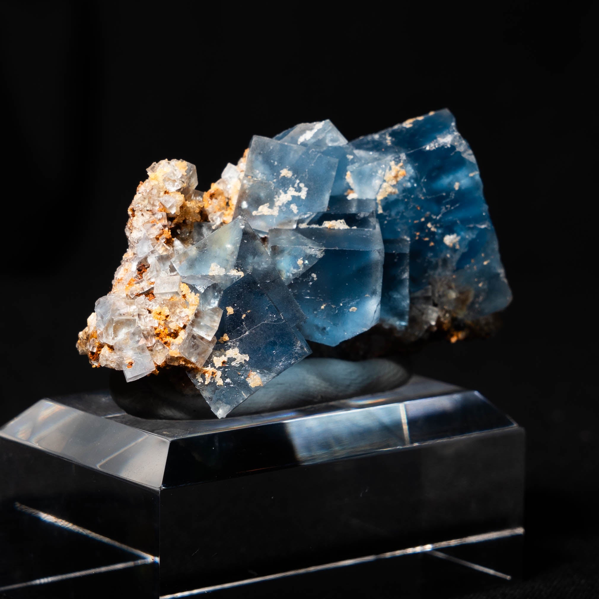 fluoriet clara duitsland