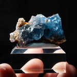 fluoriet clara duitsland