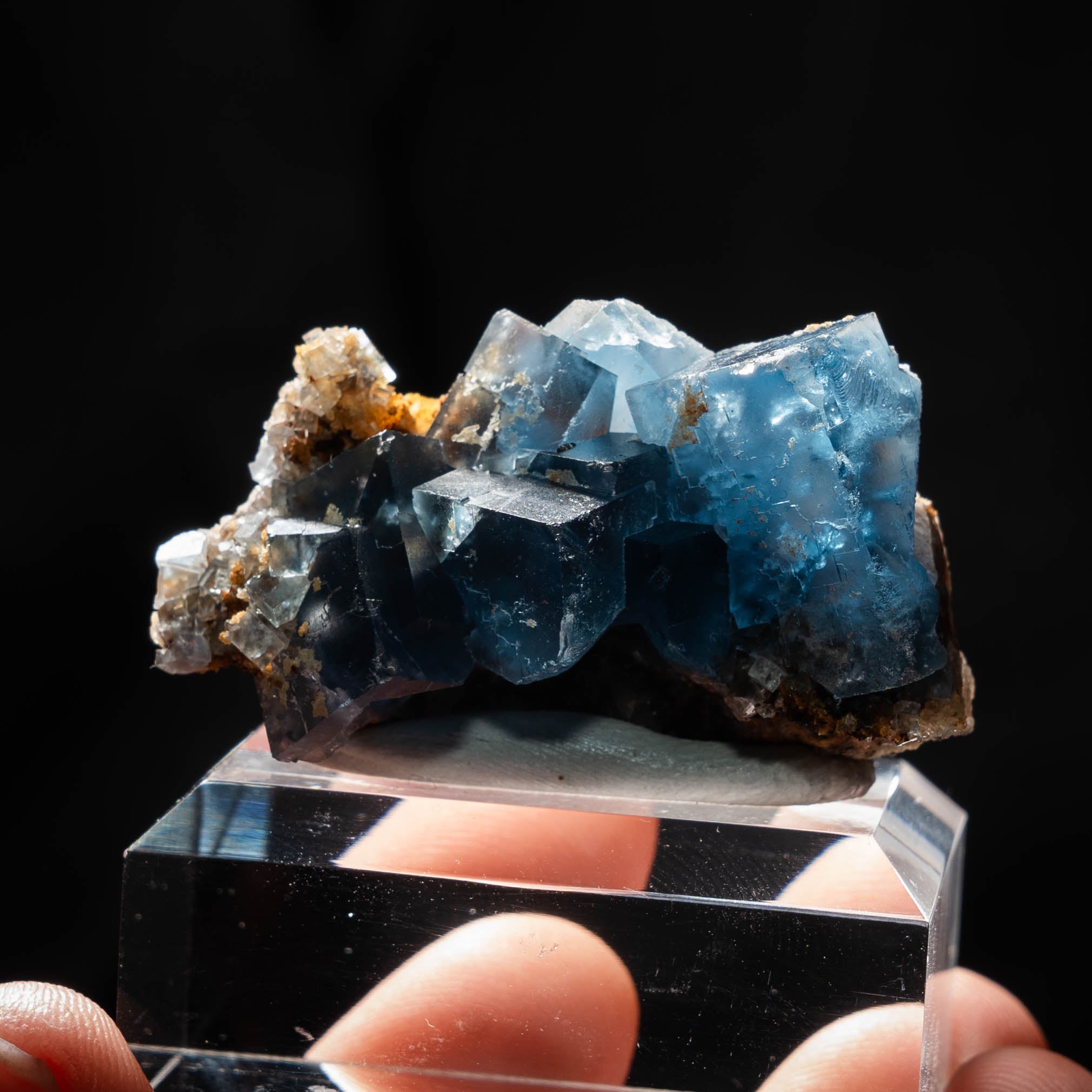 fluoriet clara duitsland