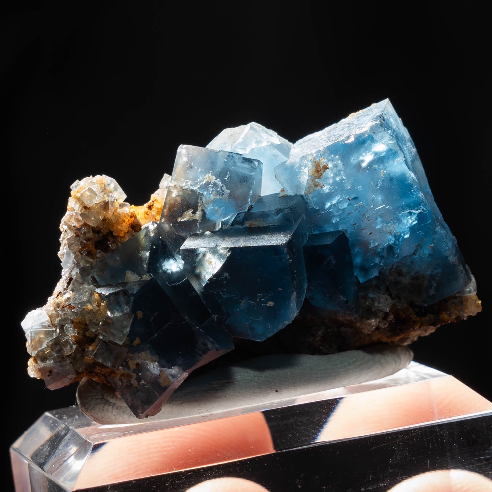 fluoriet clara duitsland