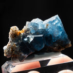 fluoriet clara duitsland