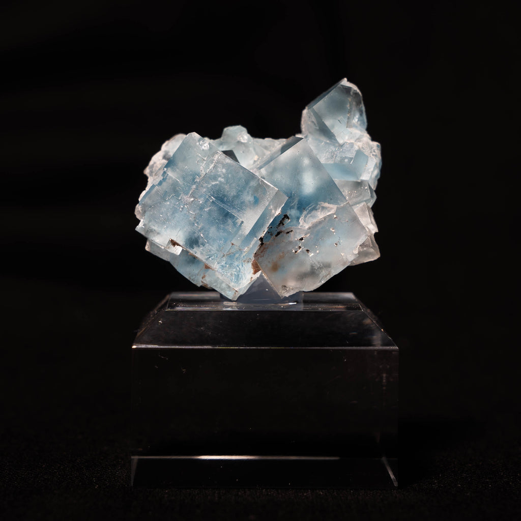 fluoriet clara duitsland