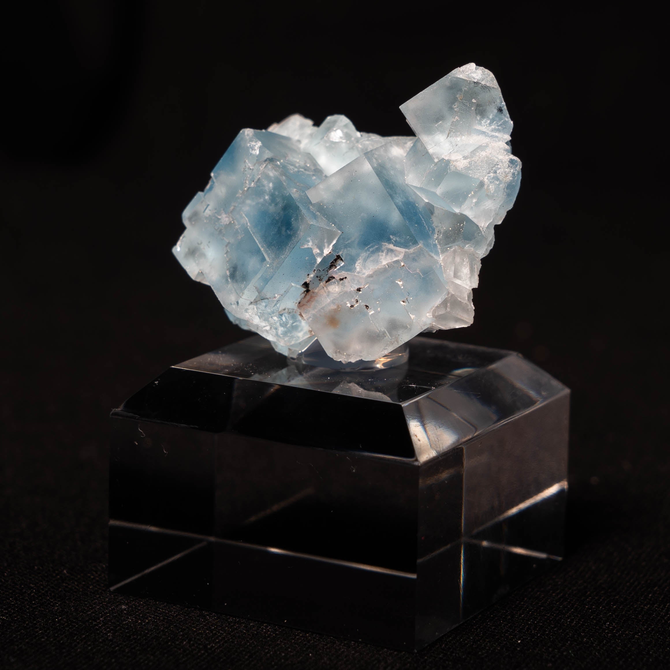 fluoriet clara duitsland