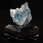 fluoriet clara duitsland