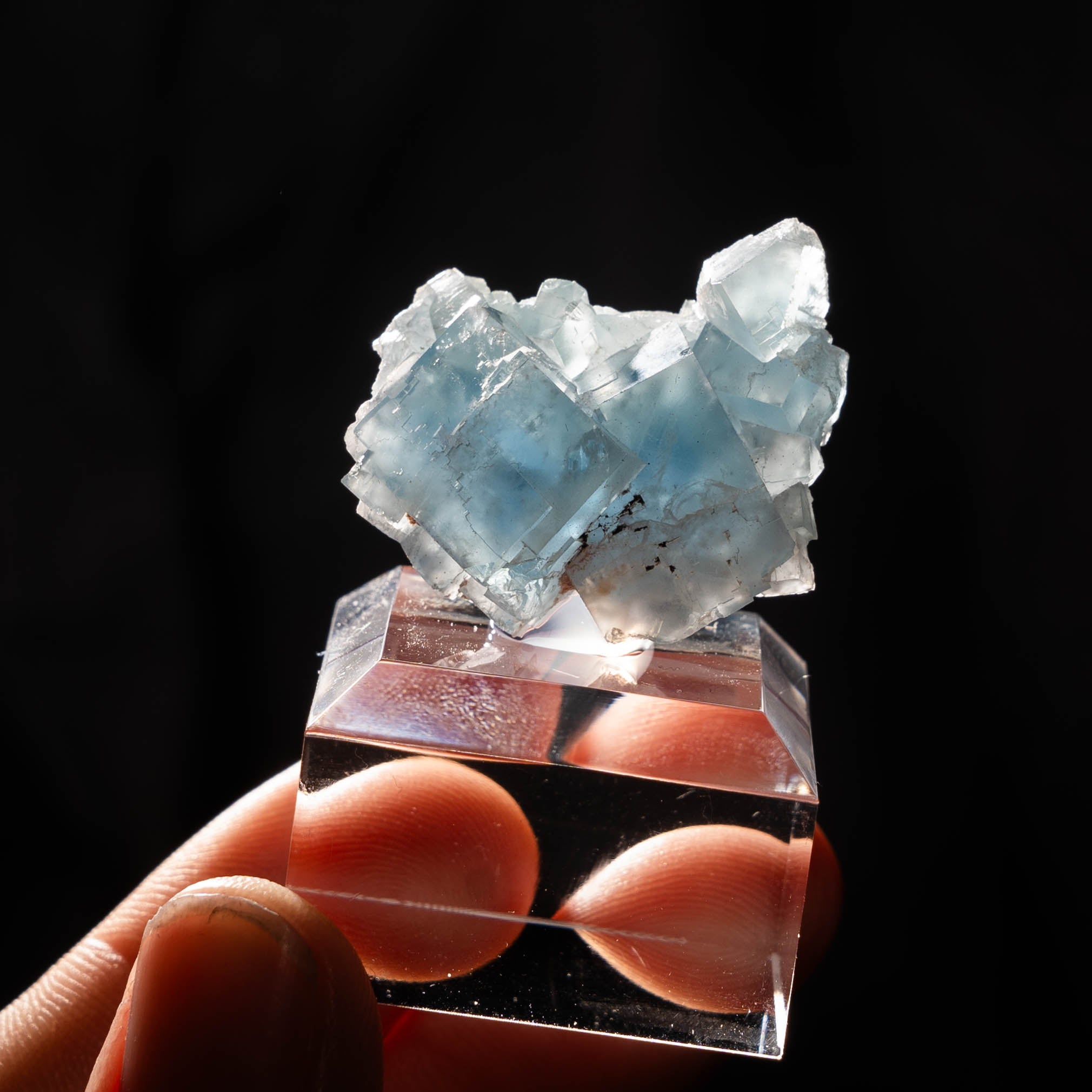 fluoriet clara duitsland