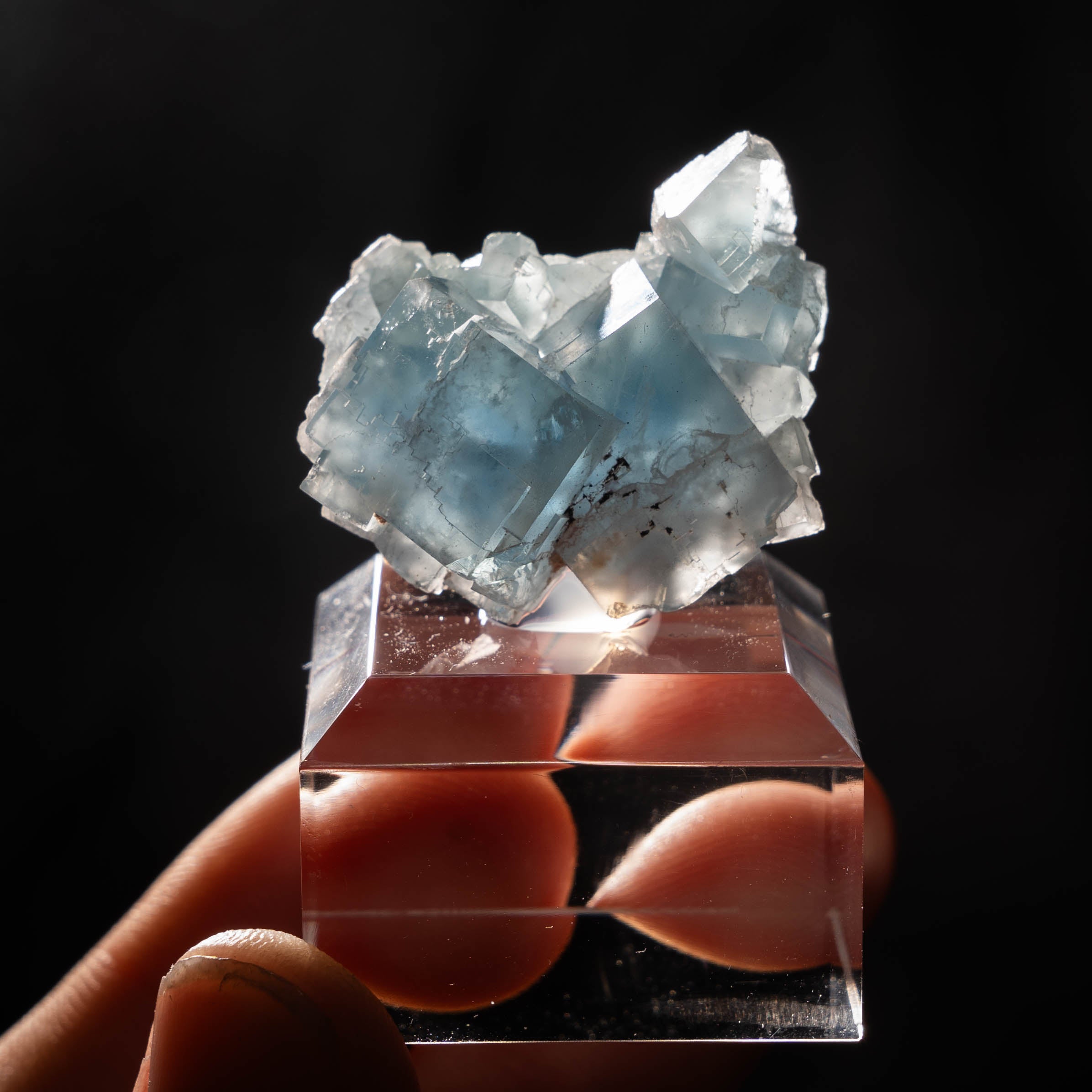 fluoriet clara duitsland