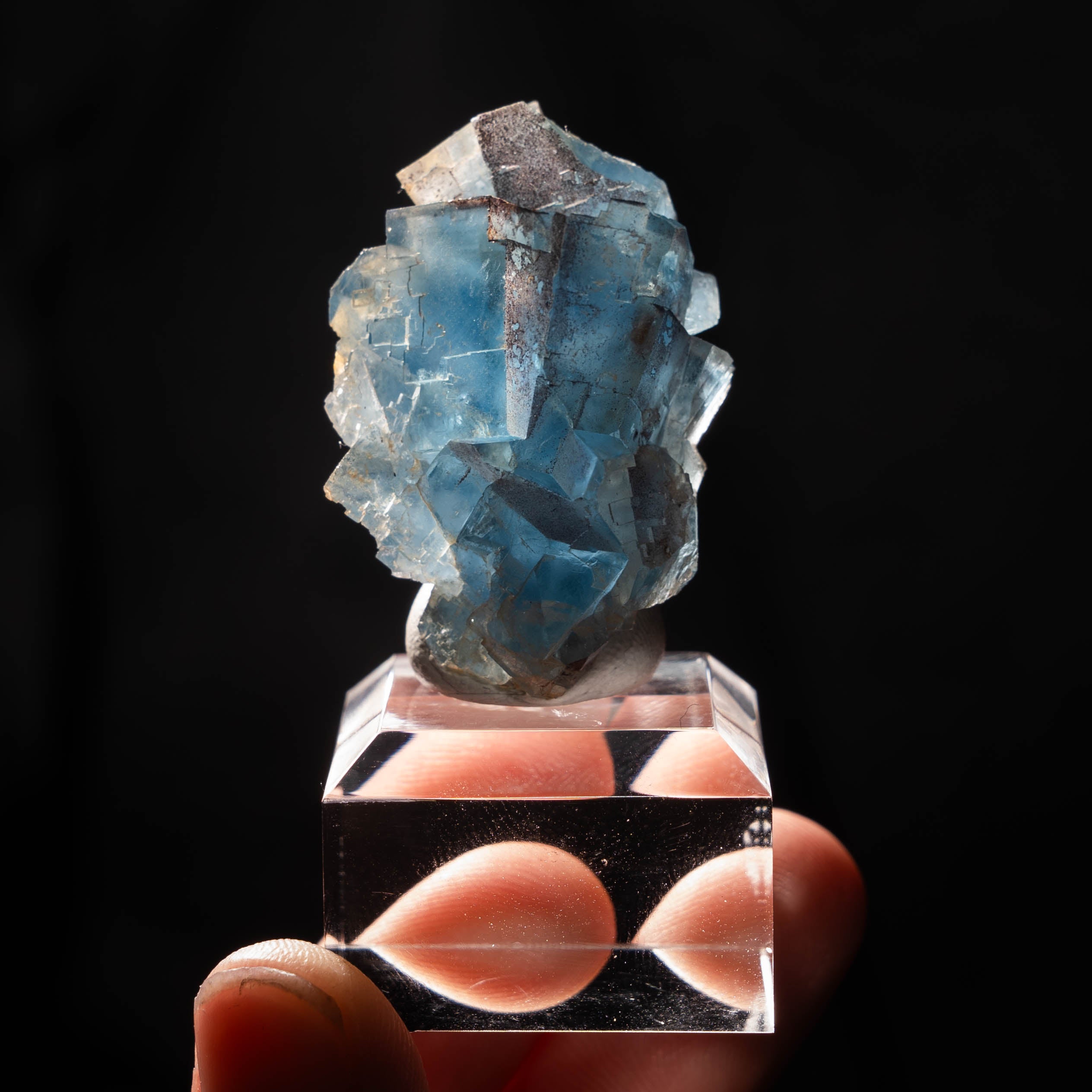 fluoriet clara duitsland