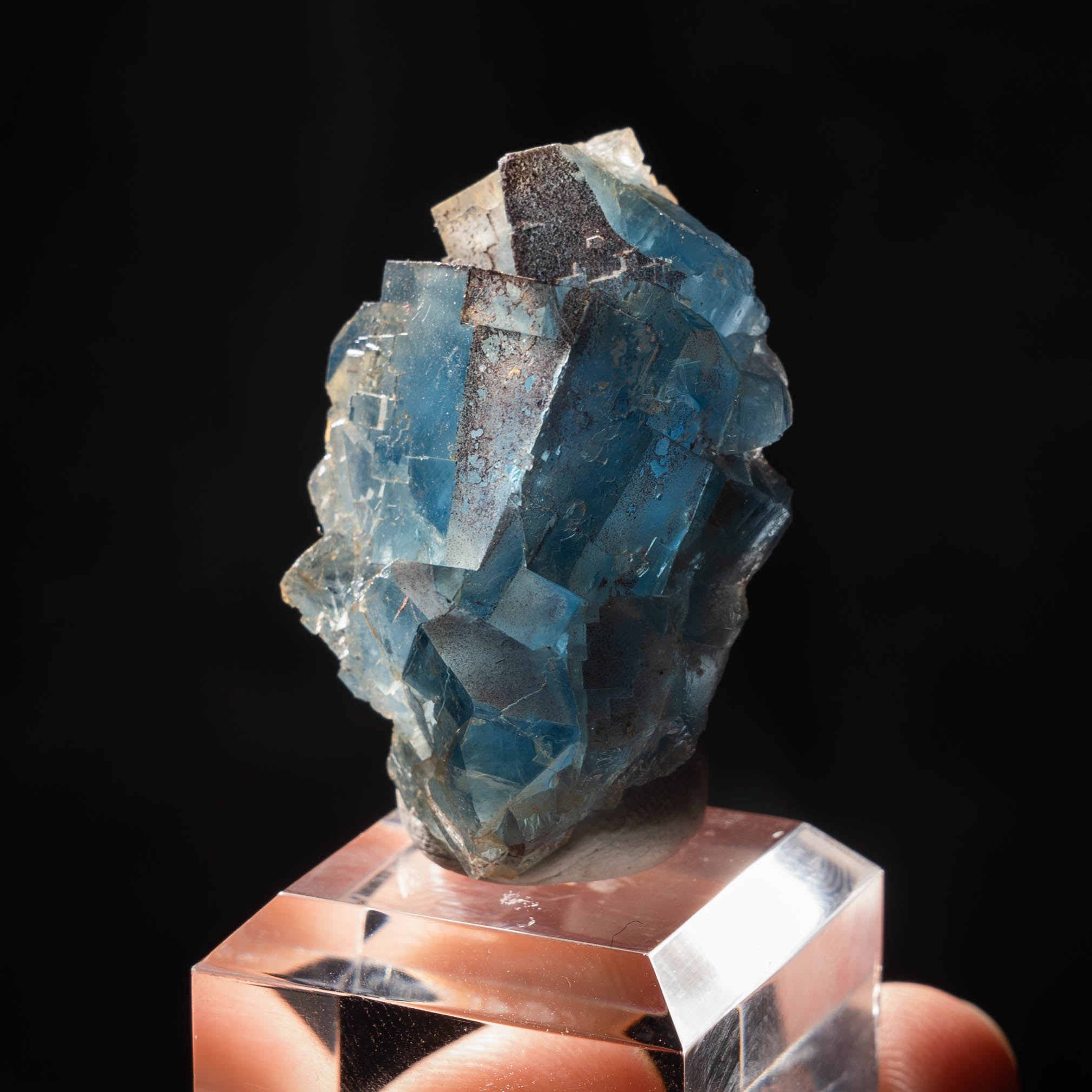 fluoriet clara duitsland