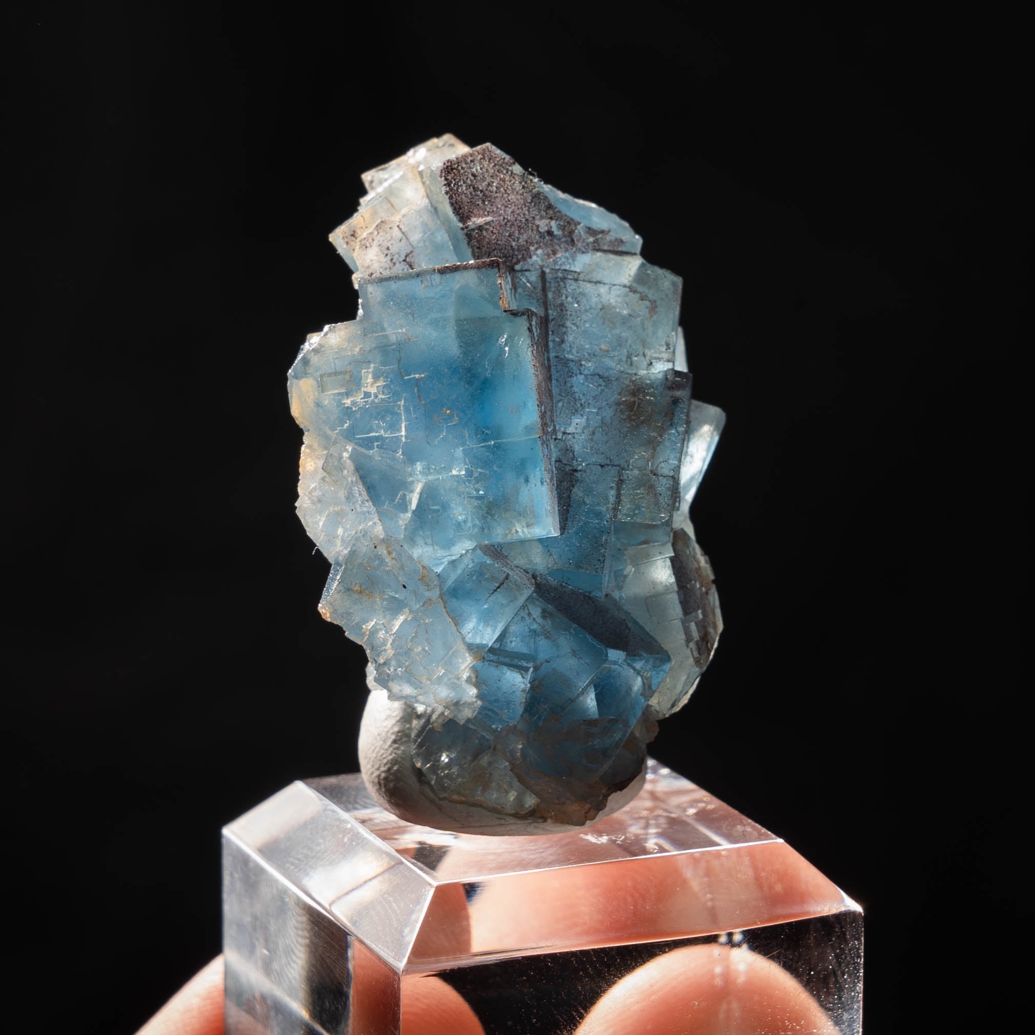 fluoriet clara duitsland