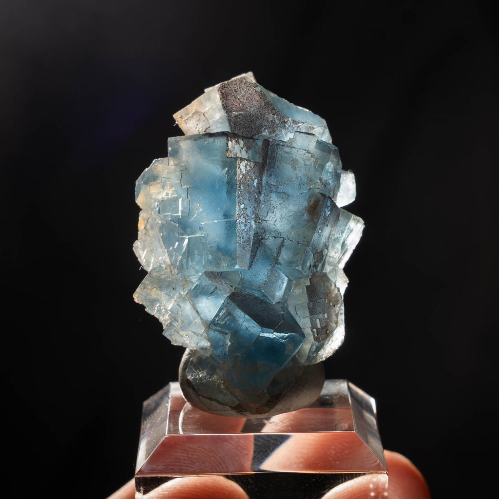 fluoriet clara duitsland