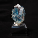 fluoriet clara duitsland