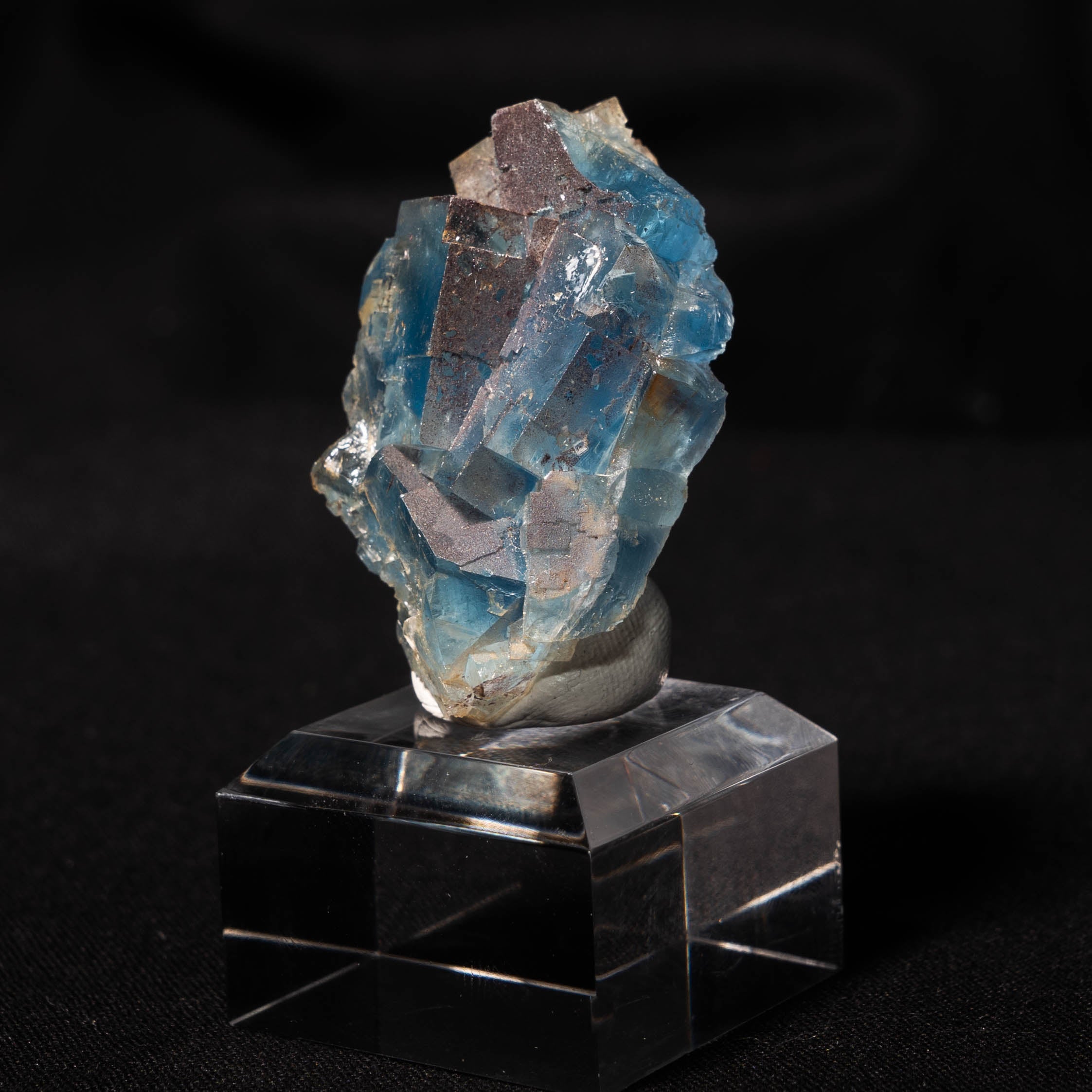 fluoriet clara duitsland