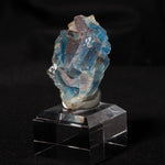 fluoriet clara duitsland