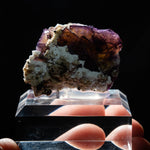 fluoriet wolkstein duitsland