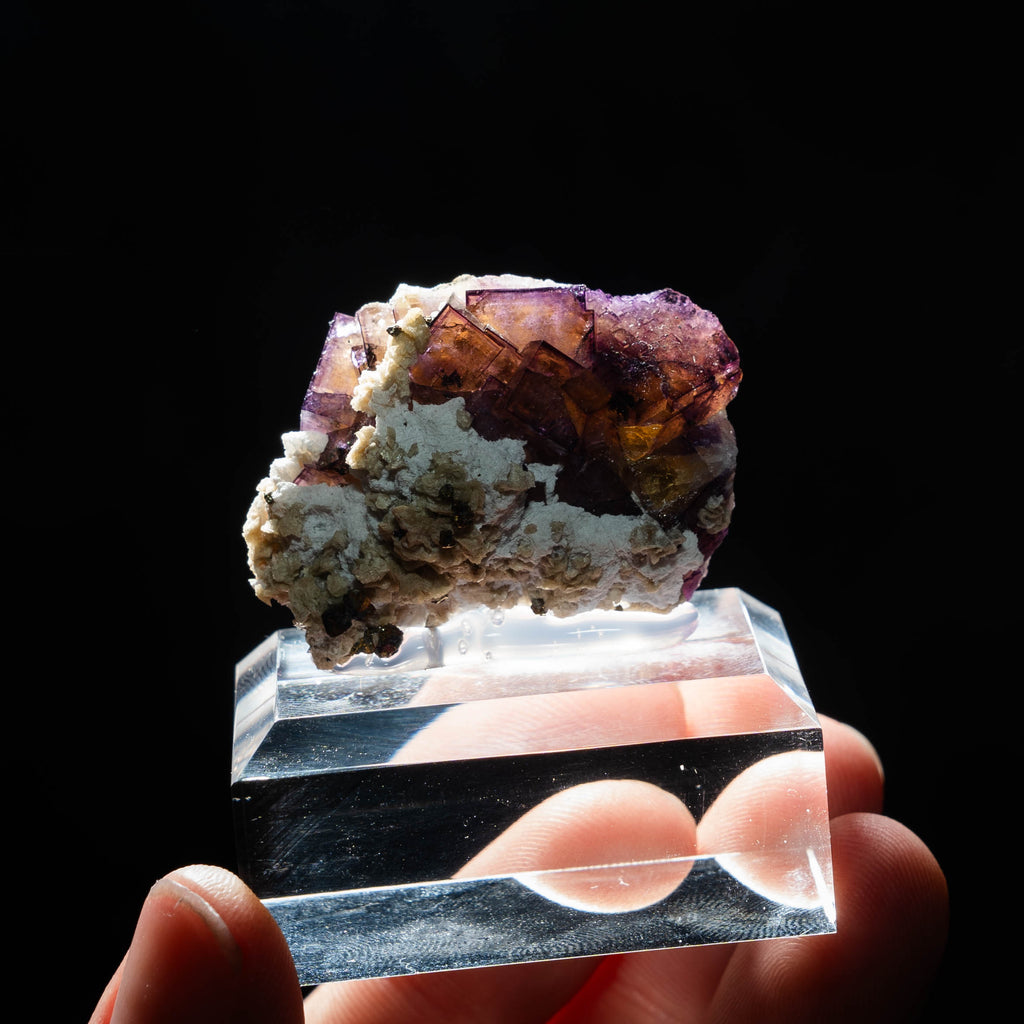 fluoriet wolkstein duitsland