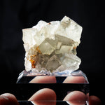 Fluoriet Niederschlag duitsland