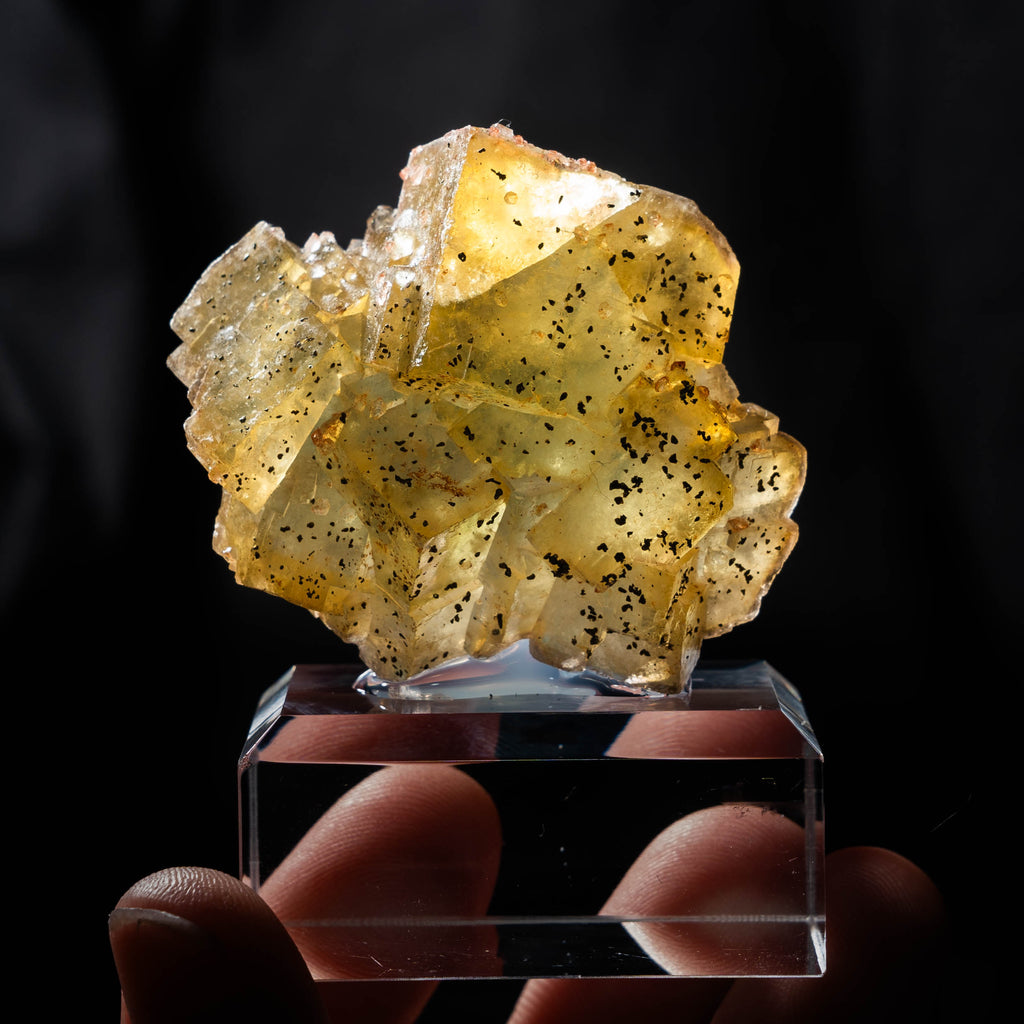 fluorite pöhla germany