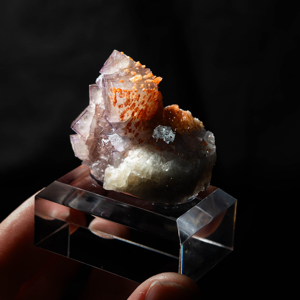 fluorite frohnau germany