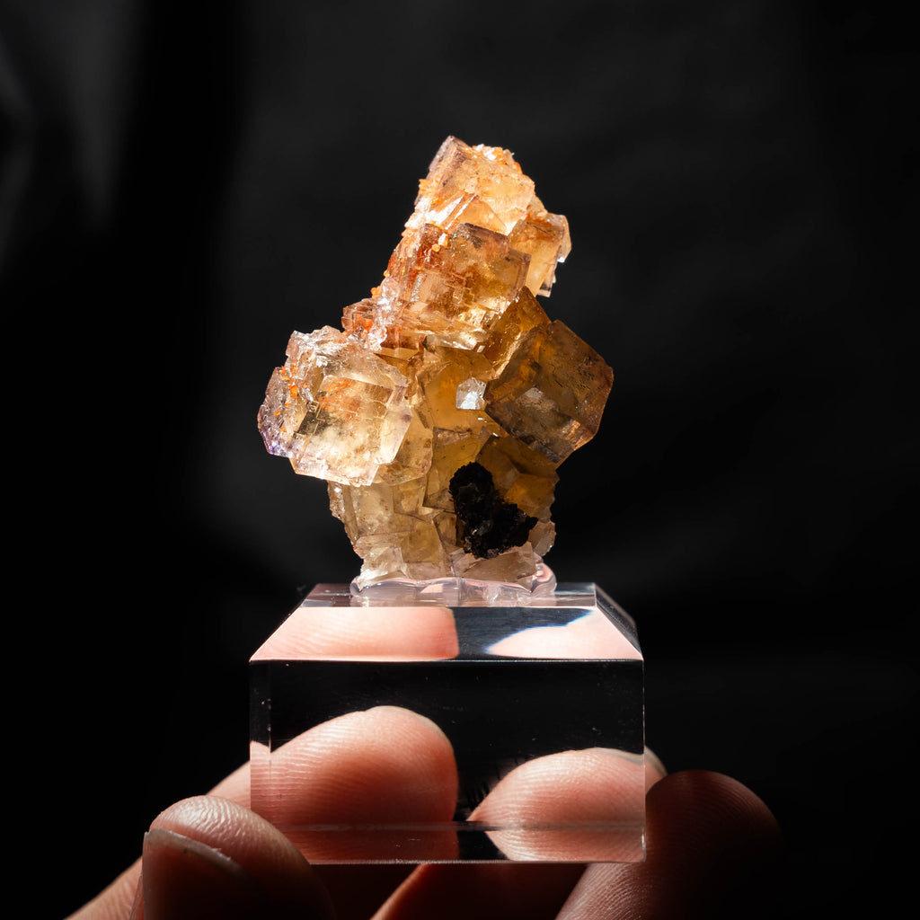 fluorite frohnau germany