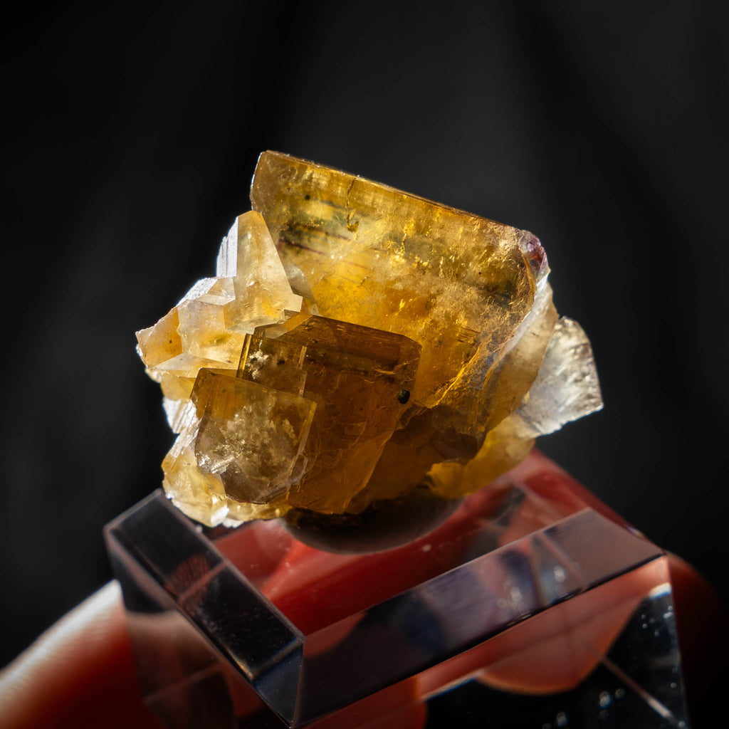 fluorite frohnau germany