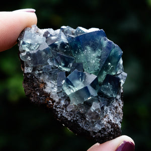 fluoriet weardale UK